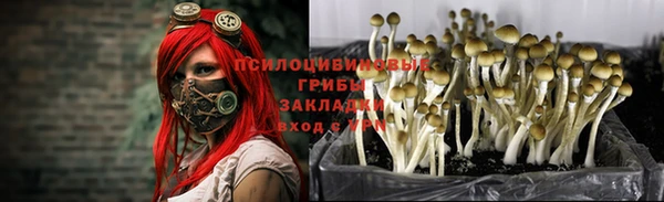 герыч Алексеевка