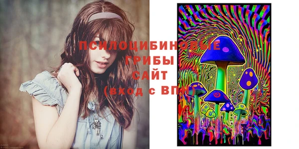 круглые Алзамай