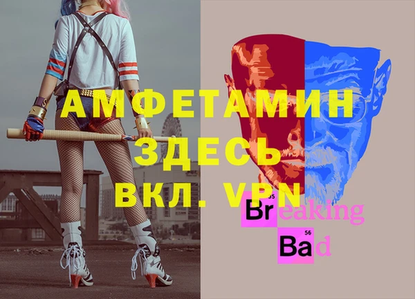 apvp Алексин