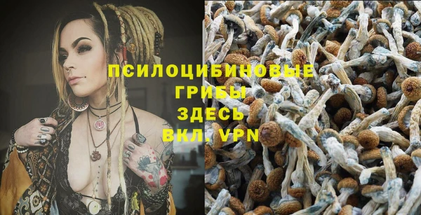 круглые Алзамай