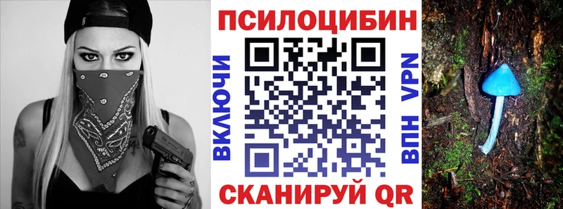 Псилоцибиновые грибы GOLDEN TEACHER OMG ТОР Анадырь даркнет сайт